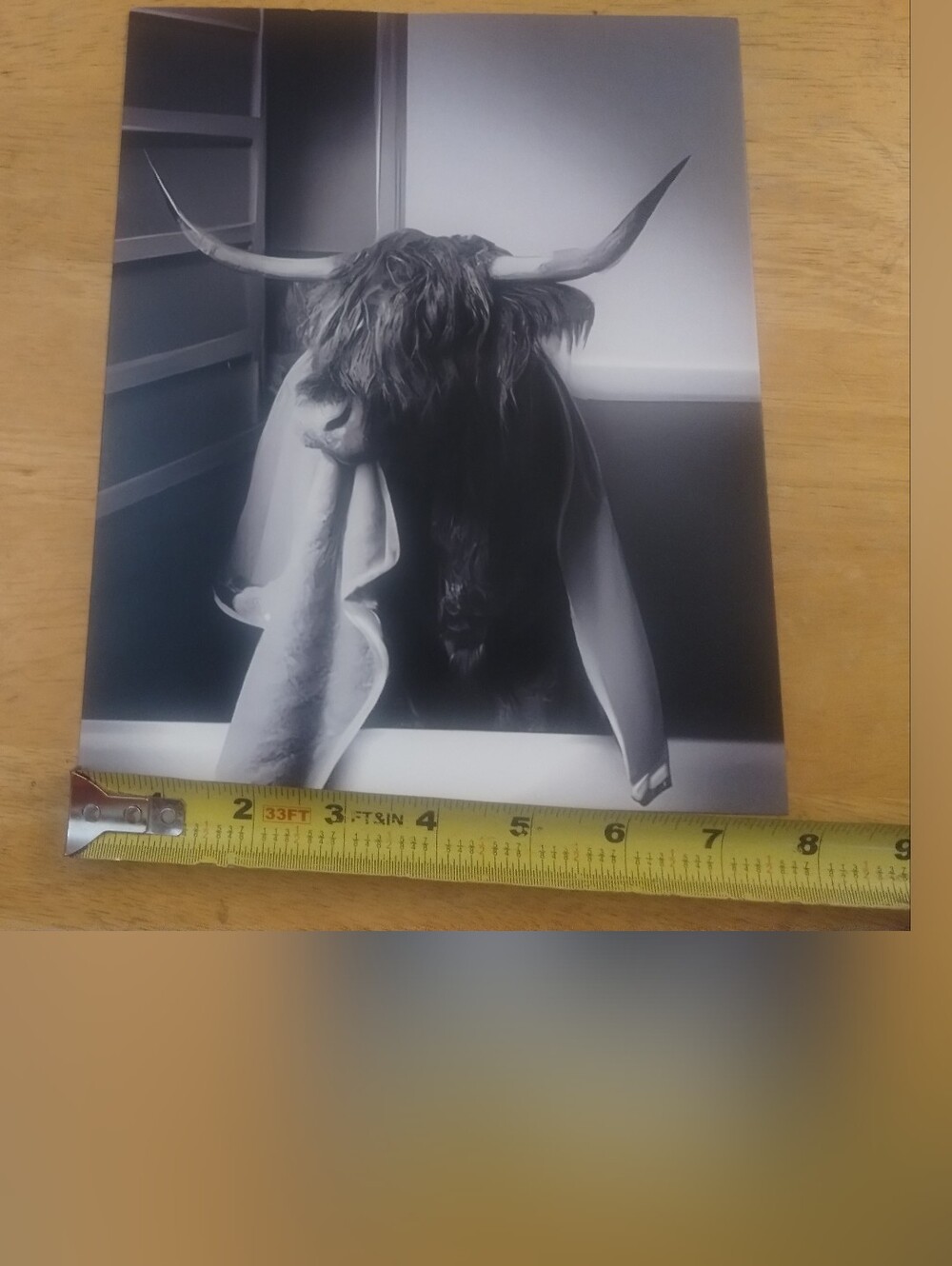 Highland Cow Bathtub Wall Art Print Black White Farmhouse Bathroom Decor 8x10